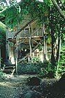maison dans la forêt